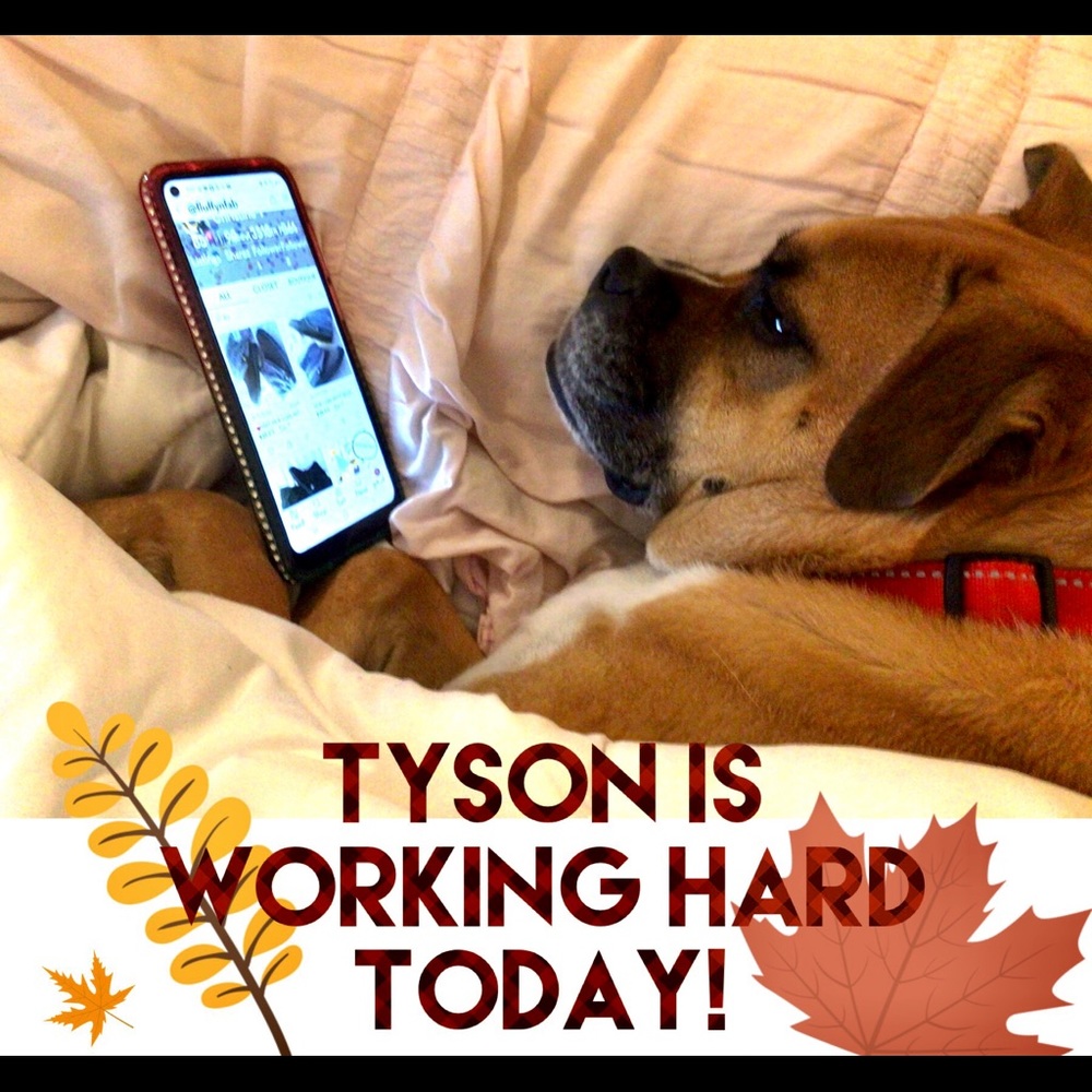 🎃TYSON IS WORKING HARD TODAY DROPPING SOME NEW ITEMS!🎃